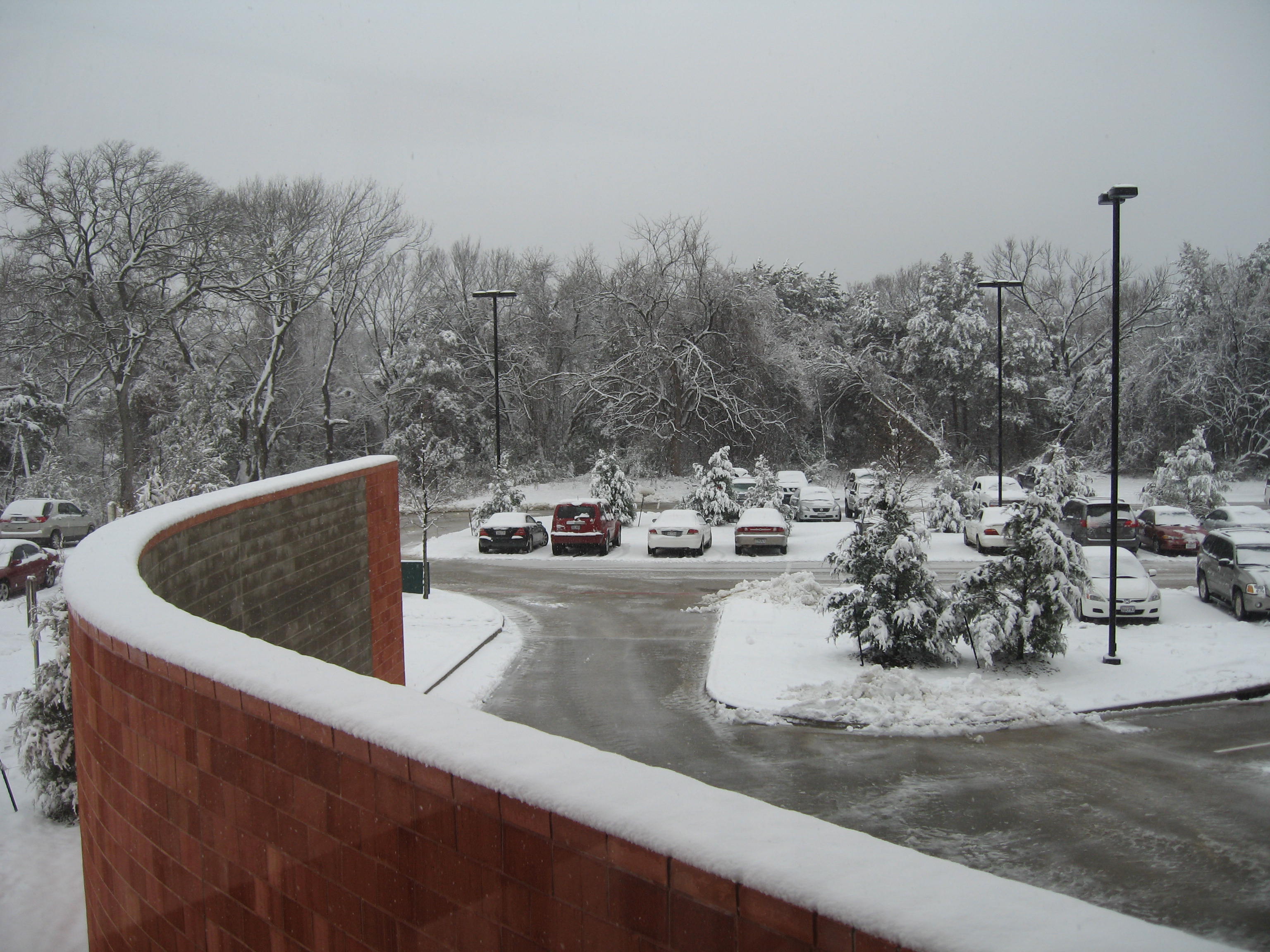 10.02.11 cedar hill snow scenes 025